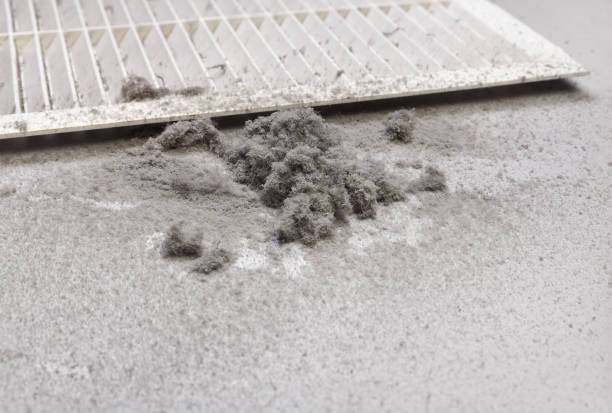 Best Ductwork Cleaning Services  in Plainwell, MI