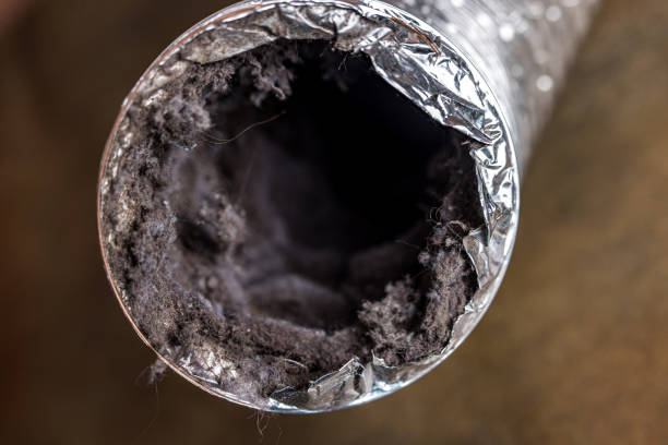 Best Air Duct Cleaning Near Me  in Plainwell, MI